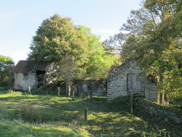 Low Roses Bower © Mike Quinn :: Geograph Britain and Ireland