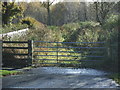 Track towards Warwick Moor Wood