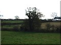 Farmland near Trout Beck