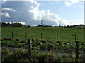 Grazing, Capontree Hill