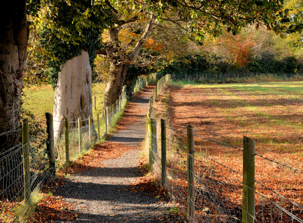 Path, the Giant's Ring, Belfast