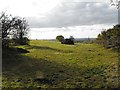 Pasture off Beacon Road