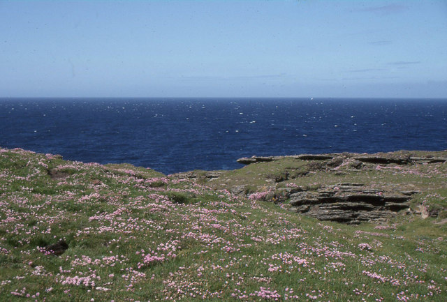 Brough of Birsay: view out to sea