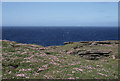HY2328 : Brough of Birsay: view out to sea by Christopher Hilton