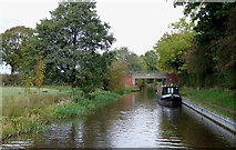 SJ6049 : Llangollen Canal near Wrenbury Heath, Cheshire by Roger  D Kidd