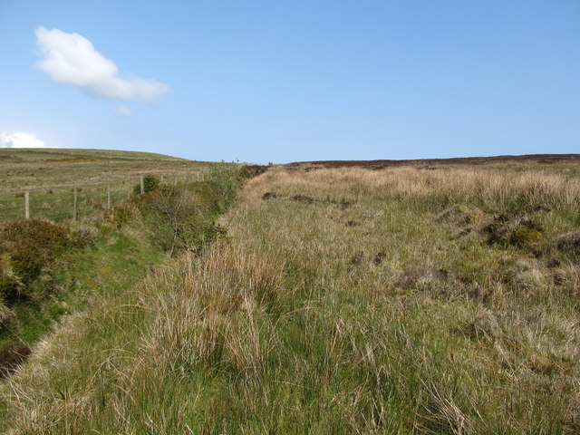 Moorland vegetation at the northern boundary of the National Trust estate