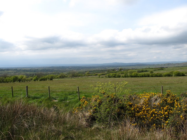 Grazing land next to the moorland boundary