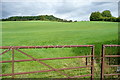 Grassland at Wooburn Moor