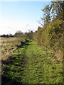 Footpath in Prospect Place