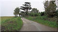 Unnamed road southwest of Bosahan Home Farm