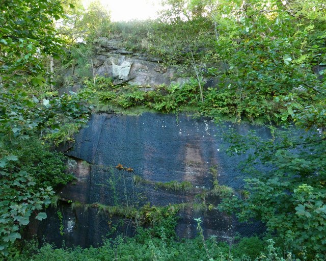Rock face in the former Bonhill Quarry
