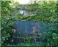 Rock face in the former Bonhill Quarry