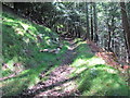 Path in Cwmcarn Forest