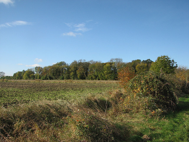 Towards Starve Goose Plantation © John Sutton :: Geograph Britain and ...