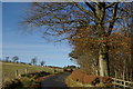 Minor road north of Shiel