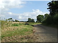 Footpath Off Country Road