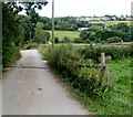 Lane descends towards Brickyard Lane, Newport