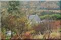 Isolated house in Glen Croe