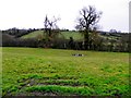 Ballykeel Townland