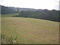 Large field with woodland beyond