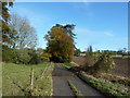 Driveway to Upton farm