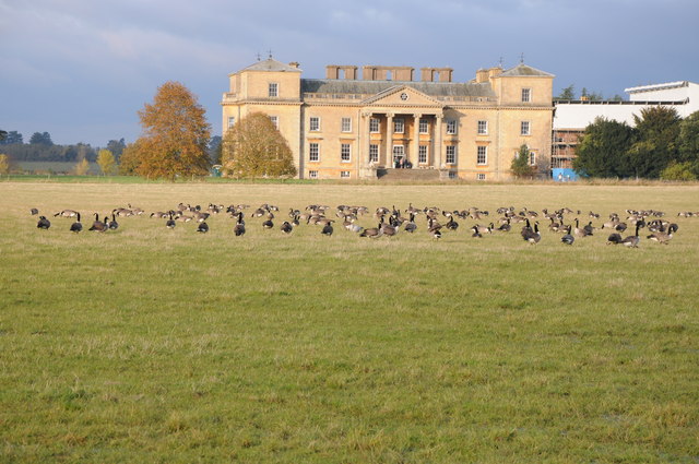 Canada geese and Croome Court