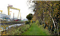 J3675 : Embankment, Victoria Park, Belfast (2) by Albert Bridge