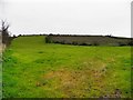 L-shaped field, Aghnagar