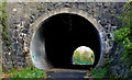 J1485 : Tunnel, Antrim by Albert Bridge