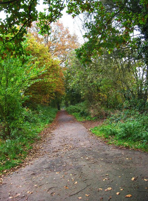 Public bridleway in Burlish Top Nature... © P L Chadwick :: Geograph ...