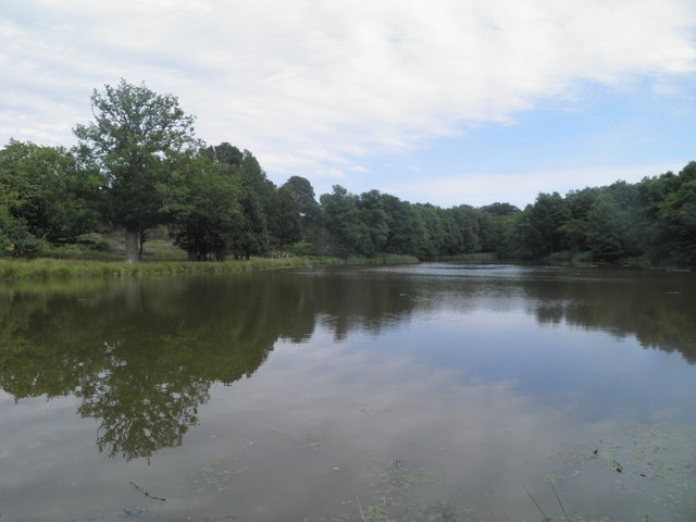 Lake, Eridge Old Park