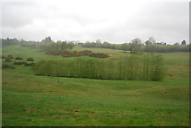TQ6742 : Brenchley Golf Course (abandoned) by N Chadwick