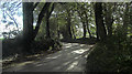 Unnamed lane through the woods, south of Carwythenack Farm