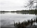 The Mere, Ellesmere