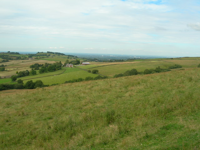 Hillside southeast of Ayton Farm
