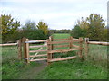 Gate on Roundshaw Downs