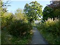 Path to Strathleven Estate