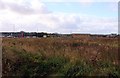 Overgrown land off Hallam Way