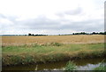 Farmland by Paglesham Creek