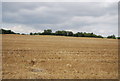 Farmland, Paglesham Creek