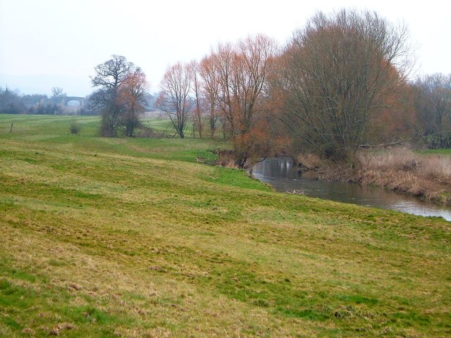 River Culm at Rewe