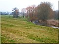 SX9499 : River Culm at Rewe by Derek Harper