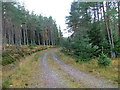 NH2712 : Track into Glen Moriston Forest by Dave Fergusson