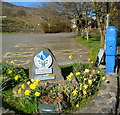 SH5848 : Daffodils at the entrance to a Beddgelert car park by Jaggery