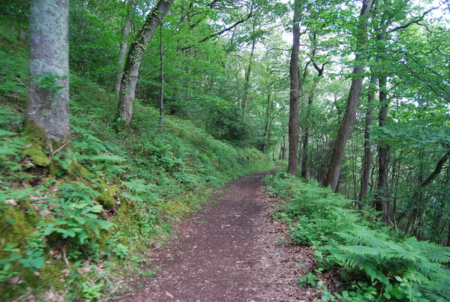Dart Valley Trail, Long Wood © N Chadwick :: Geograph Britain and Ireland