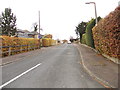 Cawcliffe Road - Bracken Road