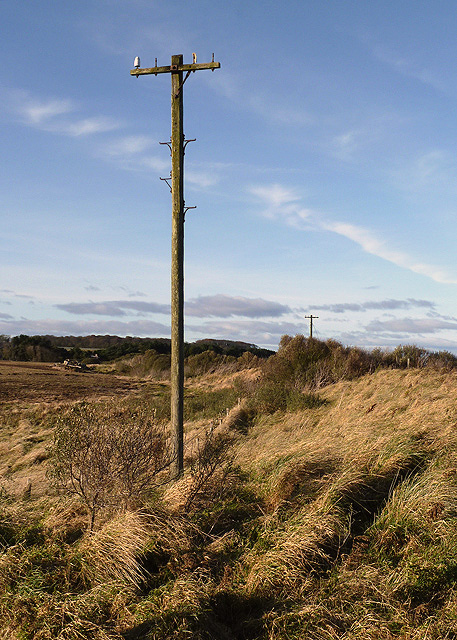 An old telegraph pole at Scoughall Links © Walter Baxter :: Geograph ...