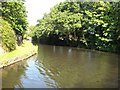 Stratford-on-Avon Canal: Reach in King