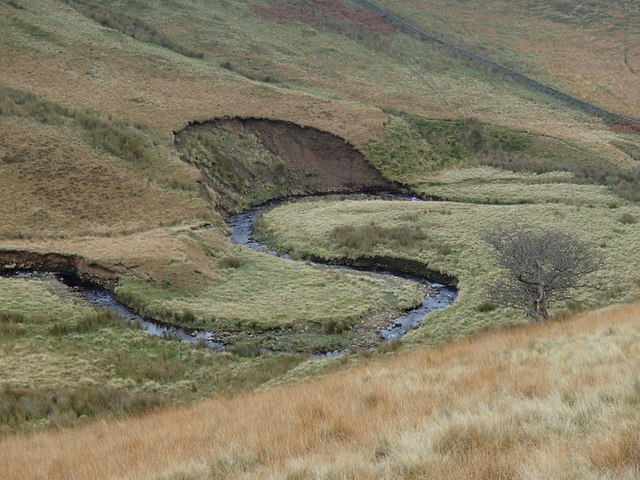 Shelf Brook, meander and landslip
