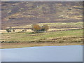 NH5520 : Croft building on the eastern shore of Loch Mhor by Dave Fergusson